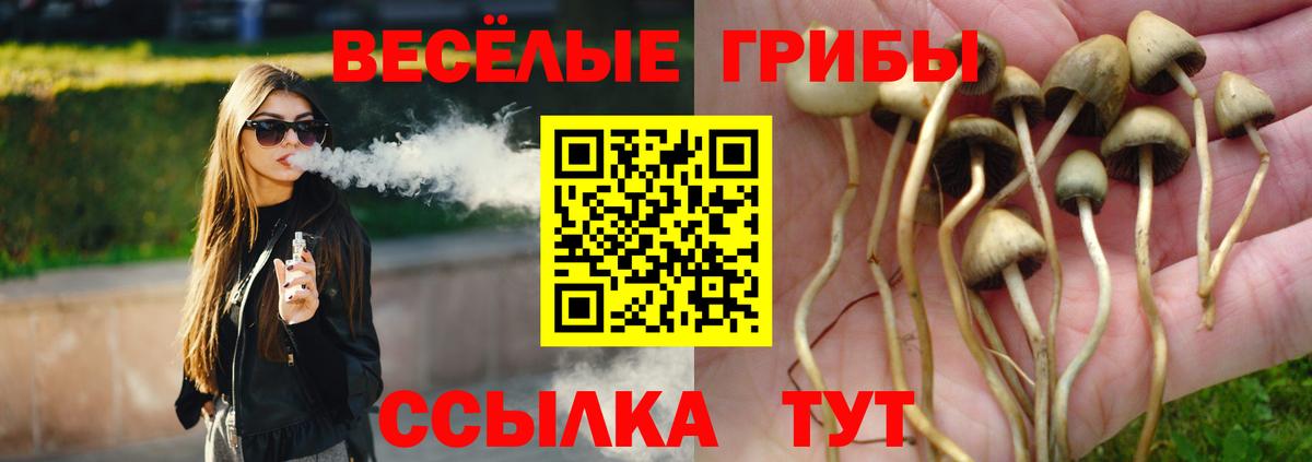 Галлюциногенные грибы мухоморы  Псилоцибиновые грибы мухоморы  Вход с VPN  Кемерово 